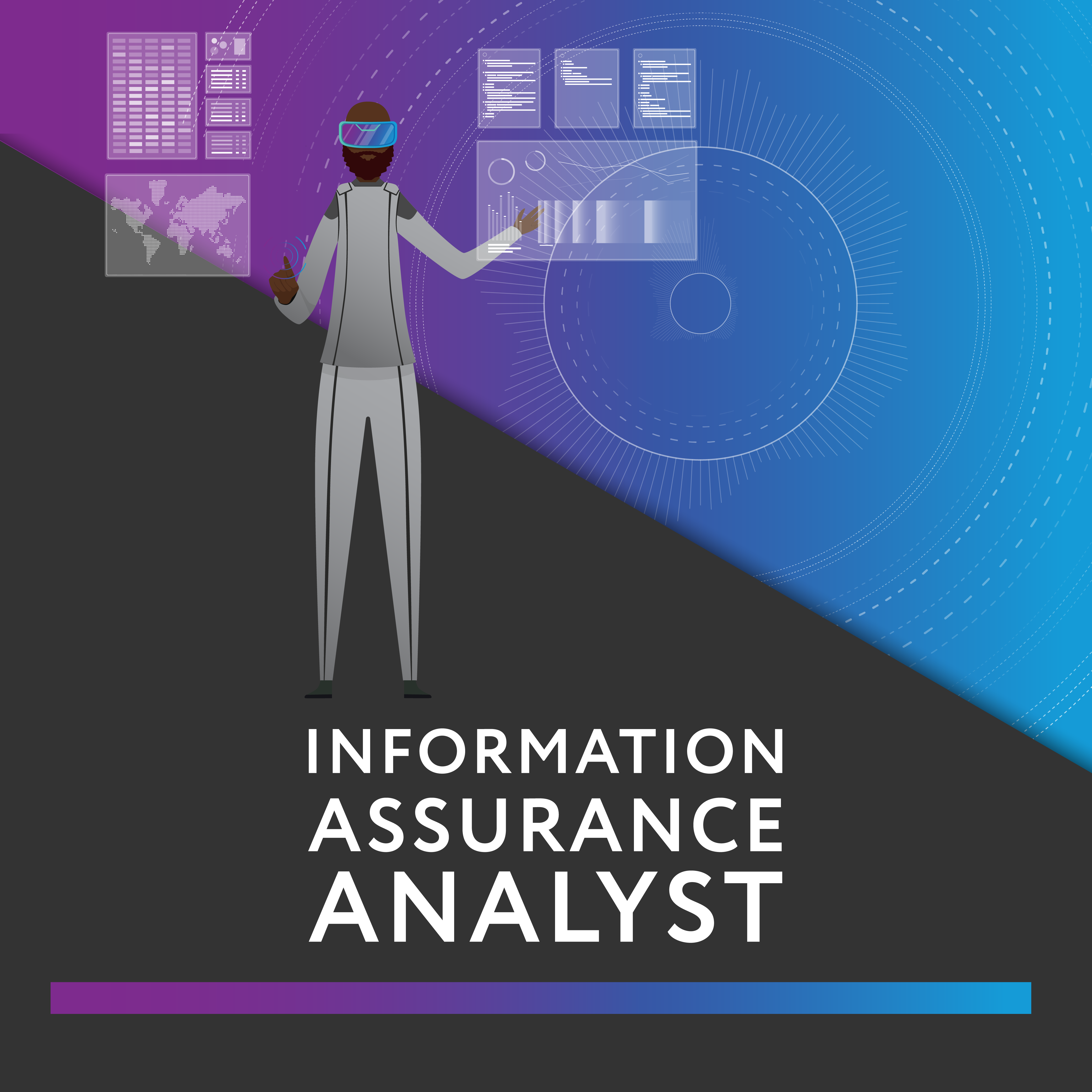 Information Assurance Analyst