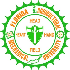 More courses from Florida A&M University