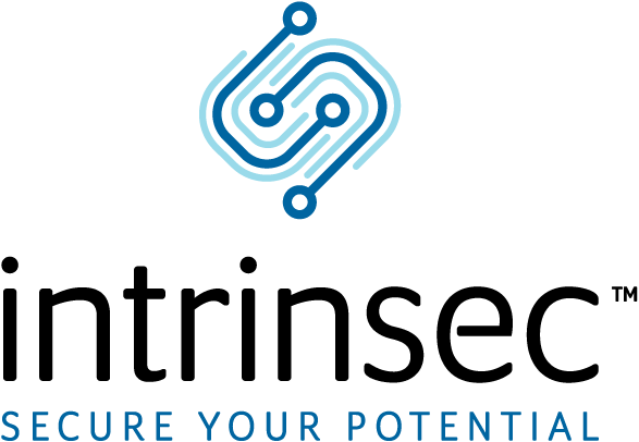 Intrinsec LLC Logo