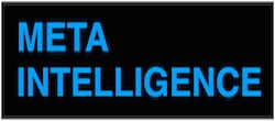 Meta Intelligence Logo