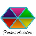 Project Auditors logo